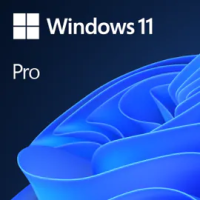 Win Pro 11  Win Pro 11